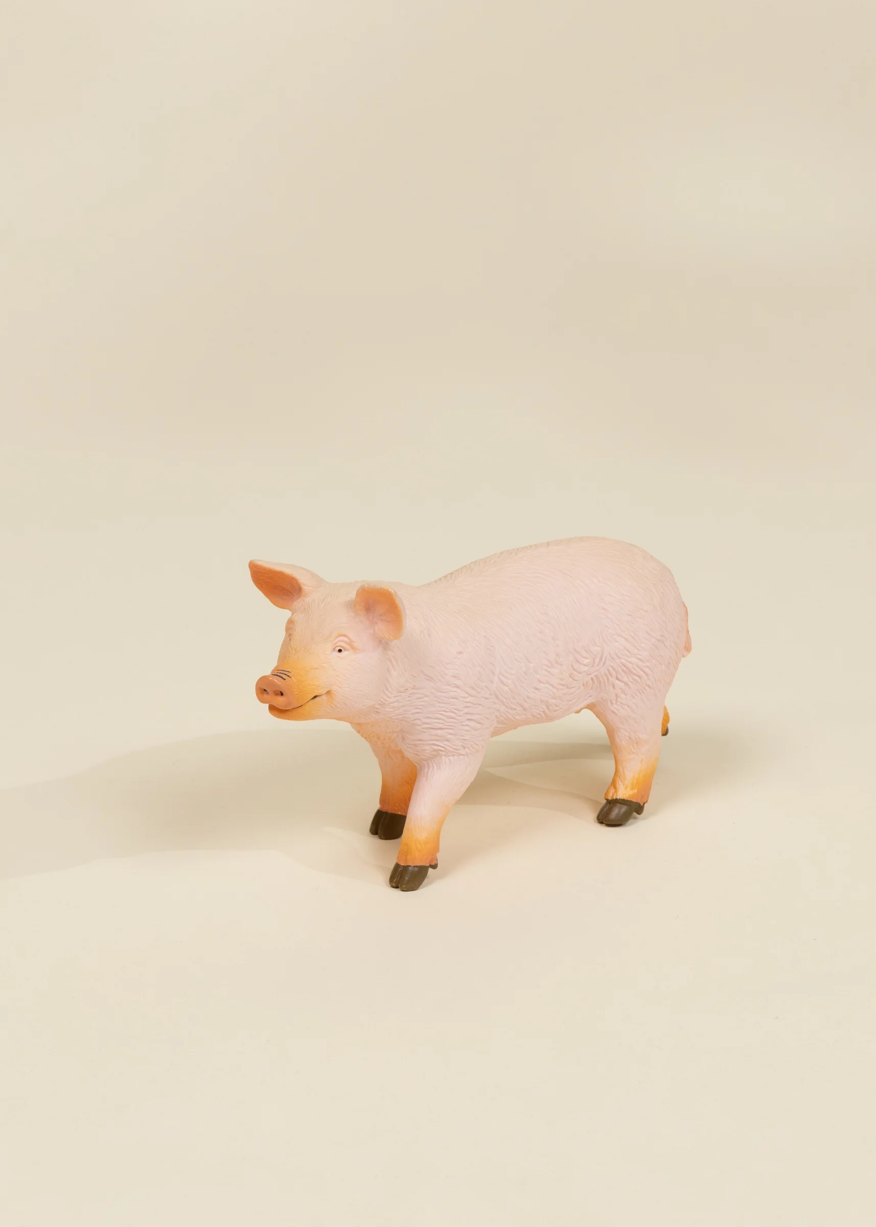 Little Explorer Sale